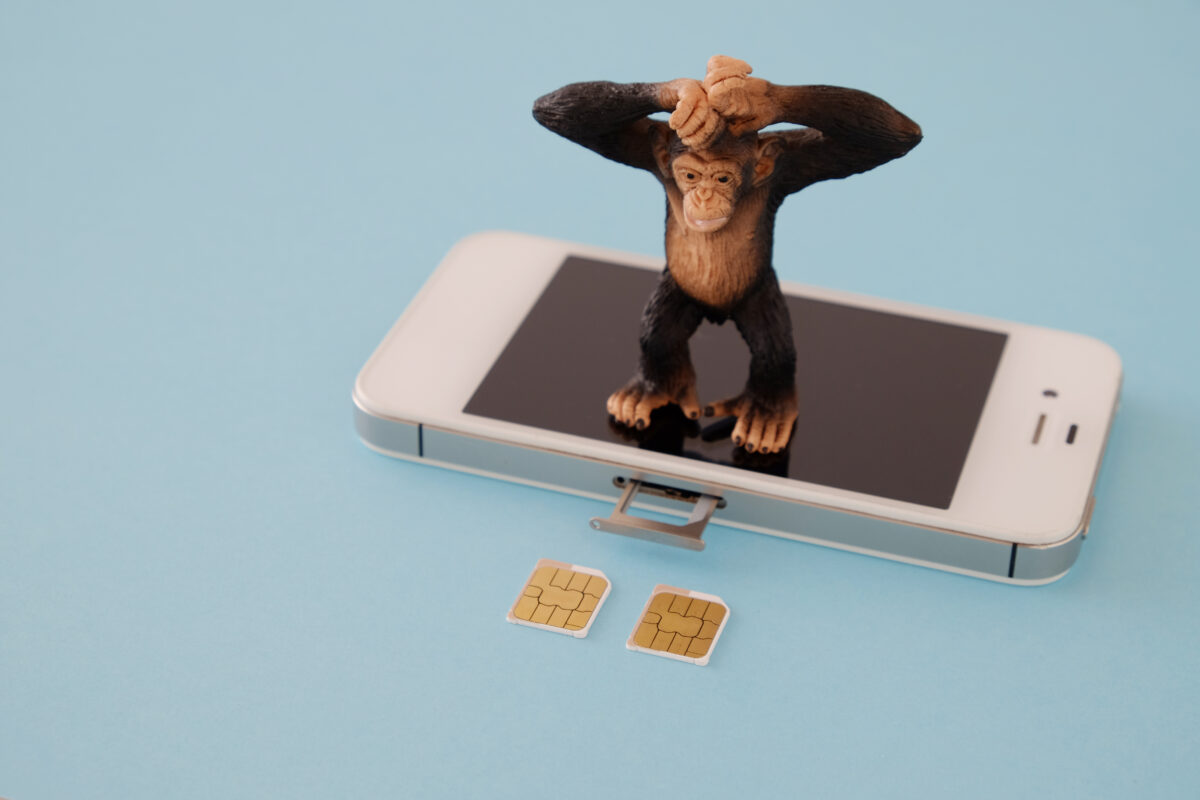 iPhoneに「SIMなし」の表示が。原因・対処法は？ | 【スマホ修理王】は  