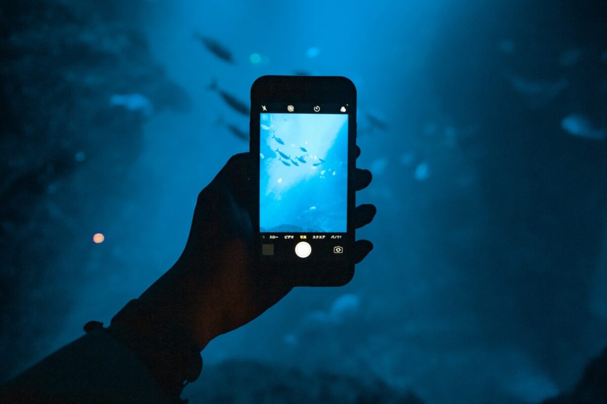 iPhoneのカメラに映る黒い点の正体は？原因・対処法 | 【スマホ修理王 